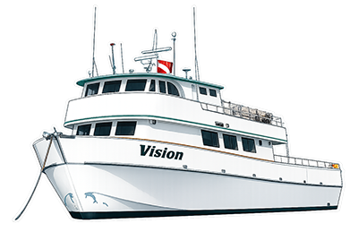 Vision Expeditions