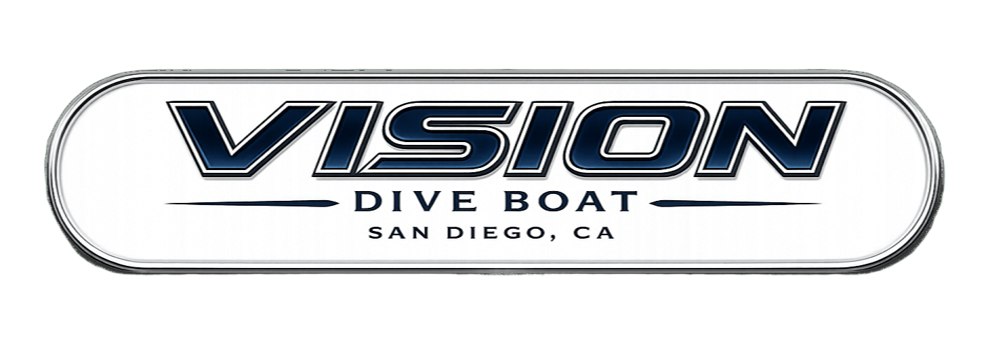 Vision Expeditions