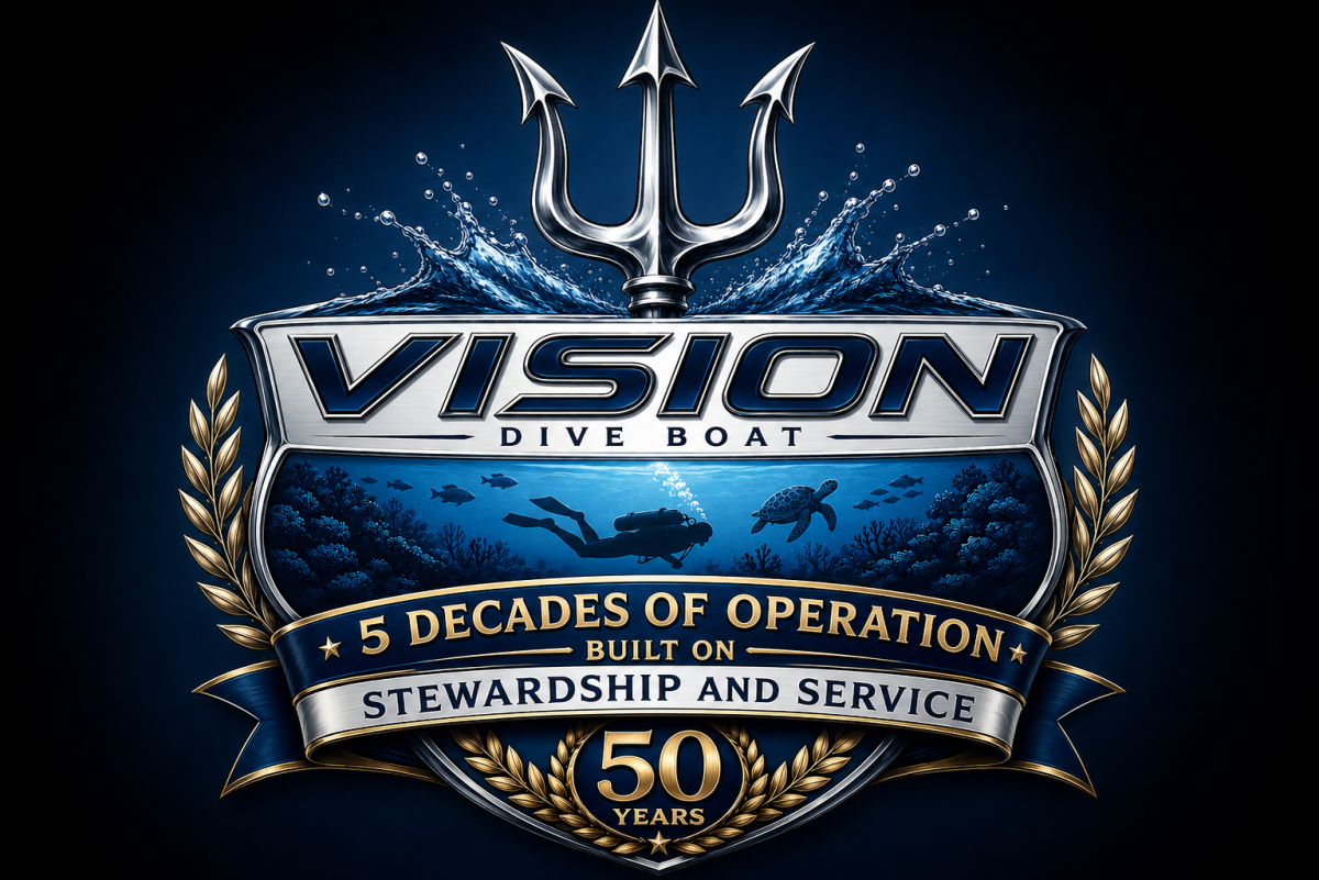 Vision Expeditions crew in action